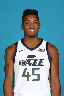 球中球员高 球中球员高