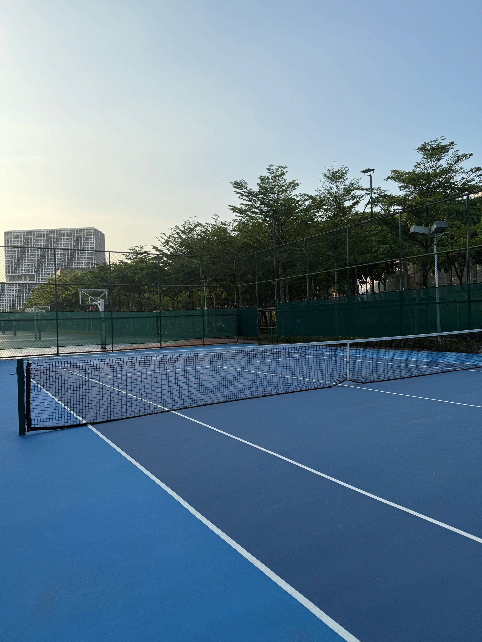 球的国际化 球的国际化