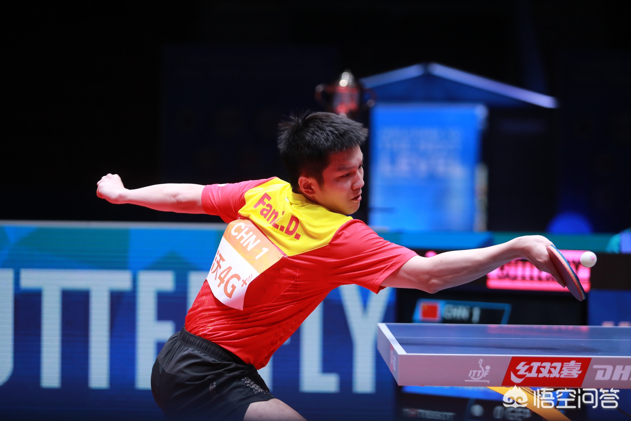 胜利奠定了 胜利奠定了