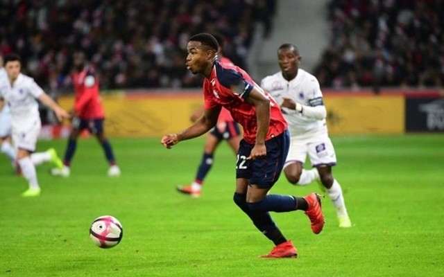 大利亚运动 大利亚运动