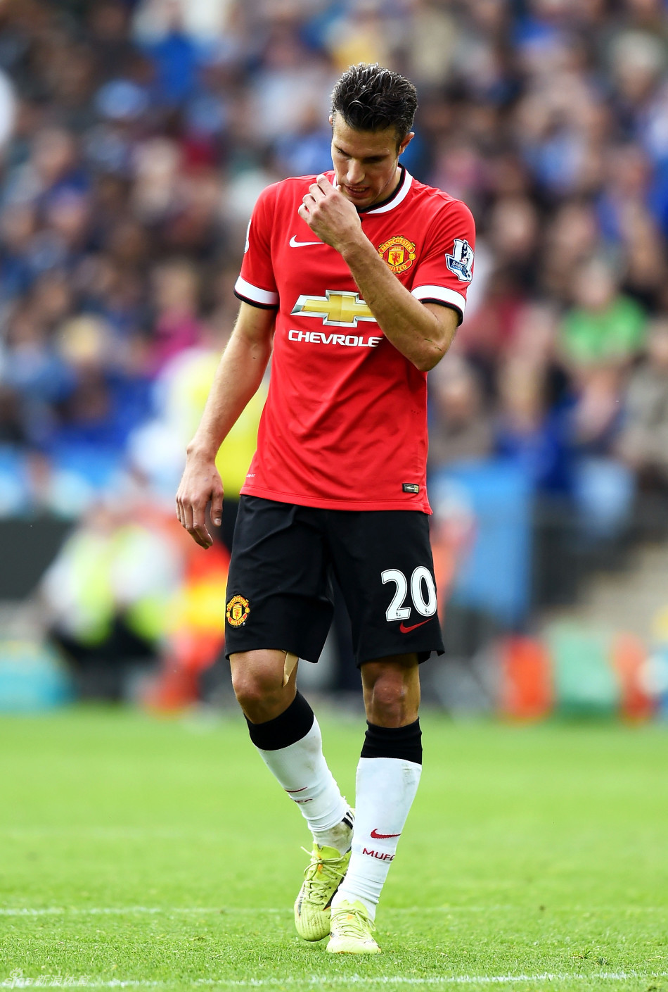 下注的可用 下注的可用